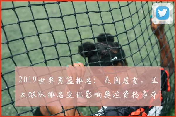 2019世界男篮排名：美国居首，亚太球队排名变化影响奥运资格争夺