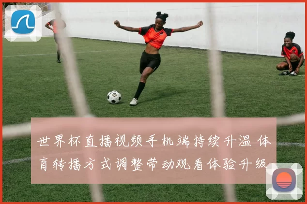 世界杯直播视频手机端持续升温 体育转播方式调整带动观看体验升级